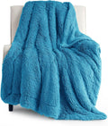 Bedsure GentleSoft Fluffy Bright Blue Throw Blanket Gifts by Unknown