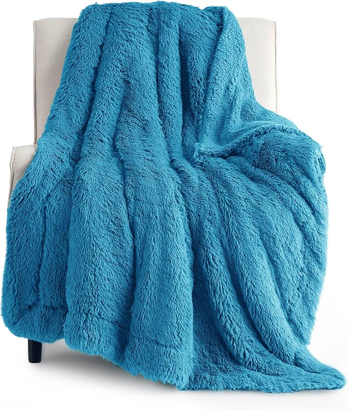 Bedsure GentleSoft Fluffy Bright Blue Throw Blanket Gifts by Unknown