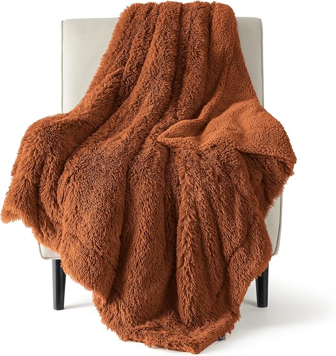 Bedsure GentleSoft Fuzzy Sherpa Faux Fur Twin Blanket Burnt Orange Cozy Gifts by Unknown