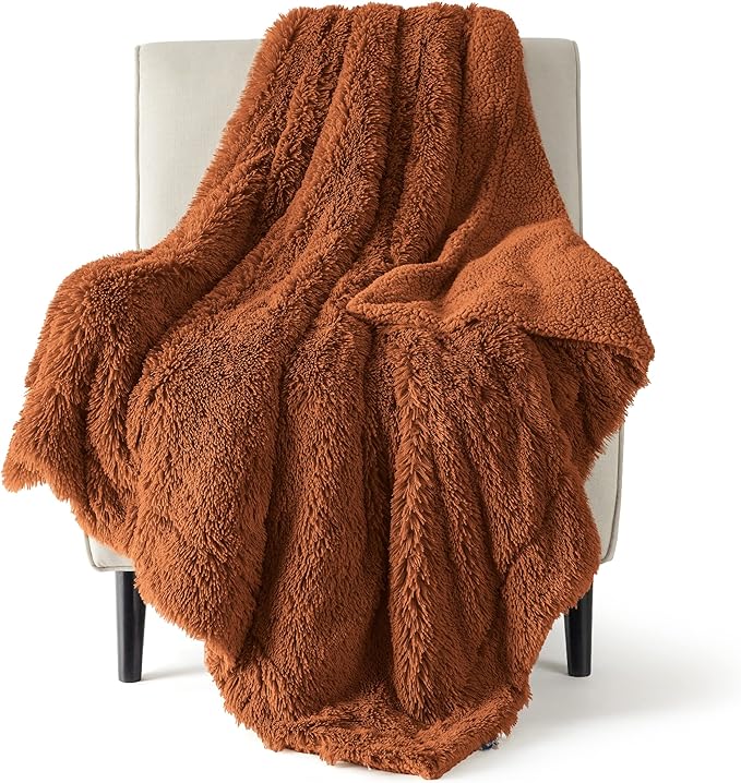 Bedsure GentleSoft Fluffy Burnt Orange Throw Blanket Fall Decorations by Unknown