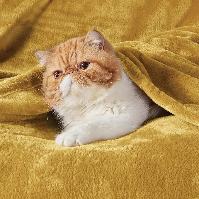 Bedsure GentleSoft Bedding Fleece Blanket - Image 7