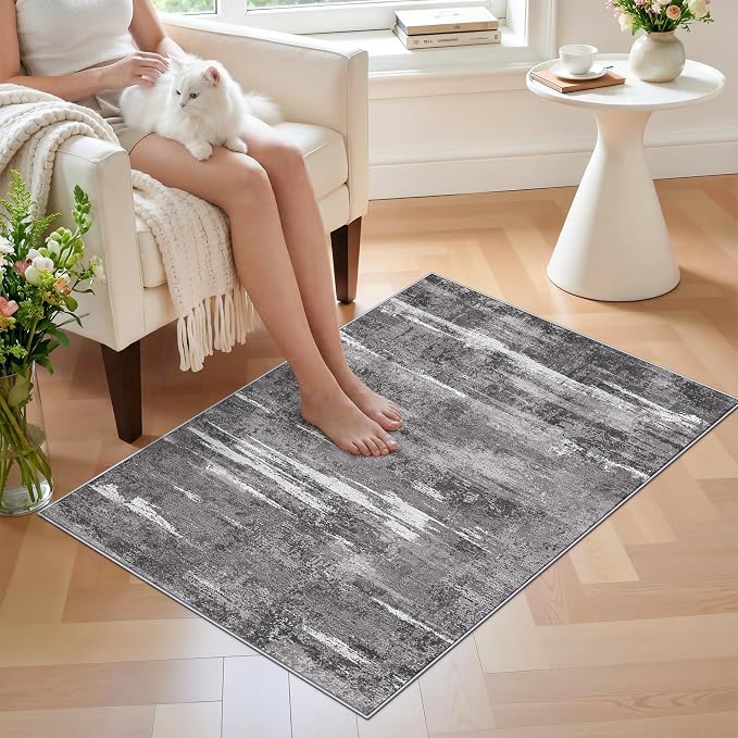 2x3 Area Rug for Living Room - Image 3