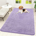 OLANLY Dog Door Mat for Muddy Paws 59x35, Super Absorbent Chenille Mud Mat | by OLANLY