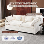 Ihanherry Cloud Sofa 77 Inch Loveseat, Modern Sectional Couch, 2-Seats Sofa - Image 3