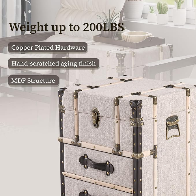 Aoikax Vintage Storage Chest - Image 4