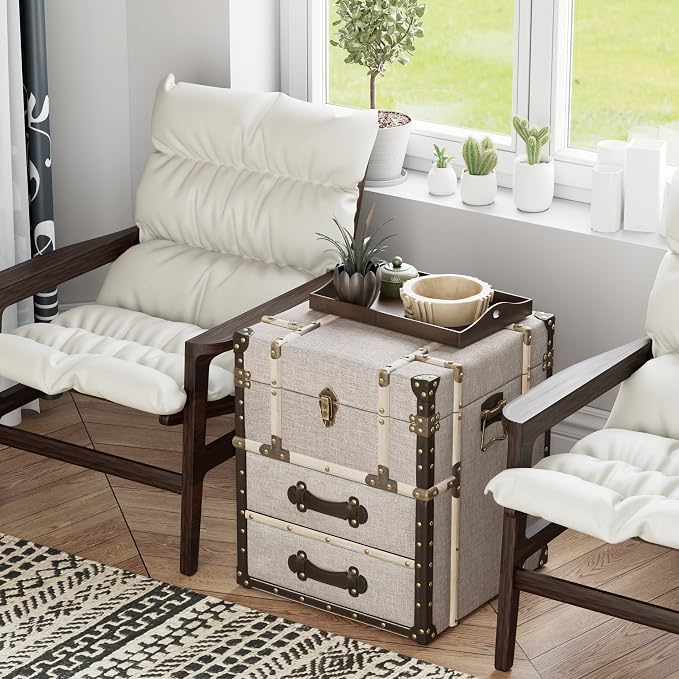 Aoikax Vintage Storage Chest - Image 5