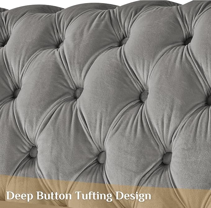 DAMAIFROM Mid Century Modern Chesterfield Sofa Couch, 2 Seat Tufted Sofas - Image 5