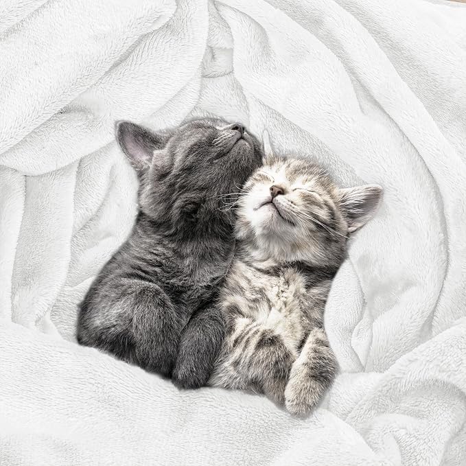Utopia Bedding Ultra Soft Fleece Bed Blanket Twin Size White | Microfiber Plush - Image 4