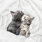 Utopia Bedding Ultra Soft Fleece Bed Blanket Queen Size White | Microfiber - Image 5