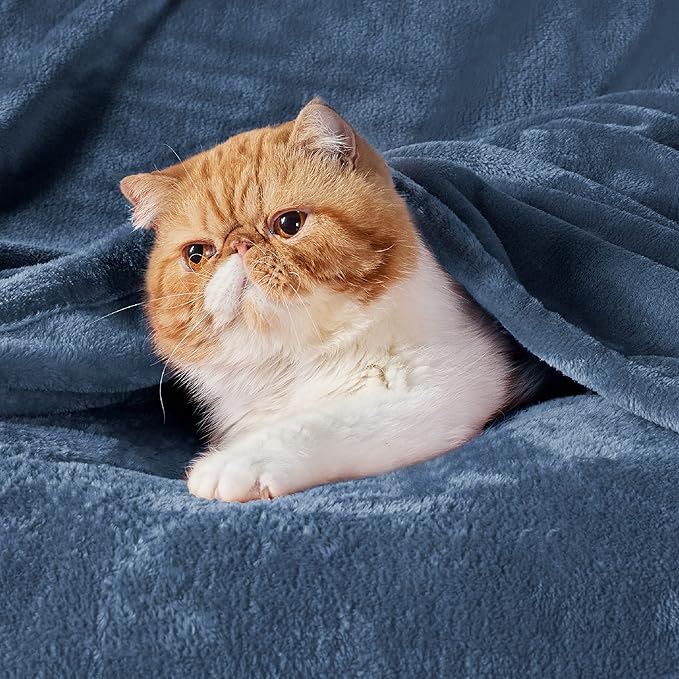 Bedsure GentleSoft Fleece Throw XL Blanket Blue - Image 2