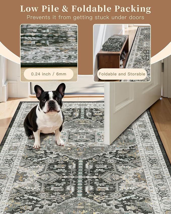 Madane Washable Area Rug 2x3 Small Entryway Rugs, Non-Slip Floor Carpet - Image 6