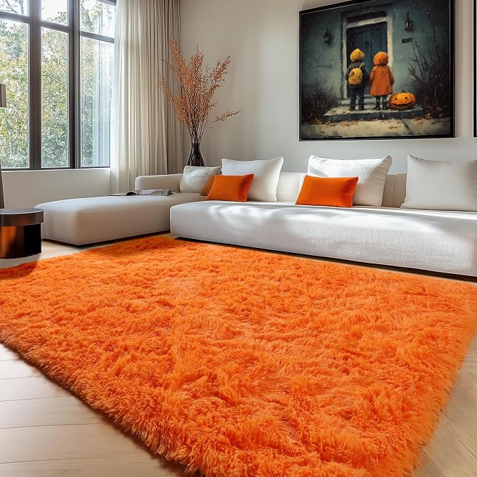 Orange Rugs for Living Room Bedroom, 5x8 Fluffy Bedside Area Rug, Soft Plush by ONASAR