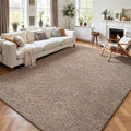 4x6 Area Rugs for Living Room Non Slip Dorm Bedroom Rug, Matte Brown | Modern by AROGANAREARUG