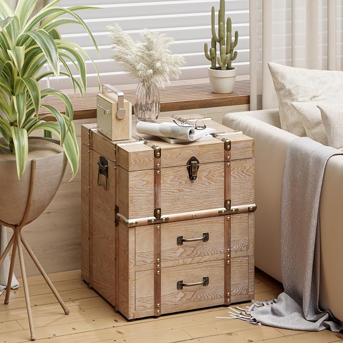 Aoikax Vintage Storage Chest by Aoikax