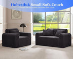 Hobestluk Couch Sofa 2-Seater Foam Sofa Loveseat - Image 6