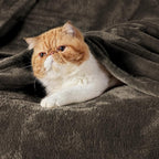 Bedsure GentleSoft Fleece Blanket Twin Size Brown - Image 2