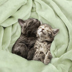 Utopia Bedding Soft Fleece Bed Blanket Queen Size Sage Green | Microfiber Plush - Image 4