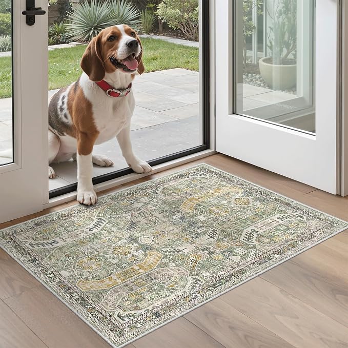 Madane Washable Area Rug 2x3 Small Entryway Rugs Non-Slip, Low Pile Floor Carpet by Madane