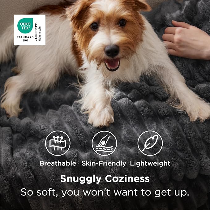 Bedsure Soft Grey Throw Blanket - Image 3