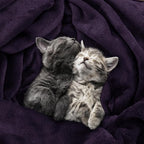 Utopia Bedding Ultra Soft Fleece Bed Blanket Throw Size Purple | Microfiber - Image 4