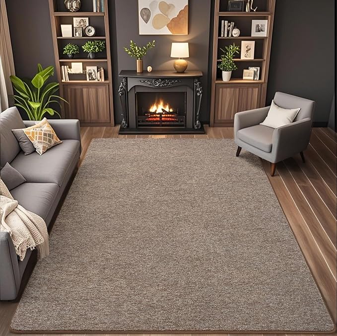 4x6 Area Rugs for Living Room Non Slip Dorm Bedroom Rug, Matte Brown | Modern - Image 2