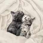 Utopia Bedding Ultra Soft Fleece Bed Blanket Queen Size Linen | Microfiber - Image 4