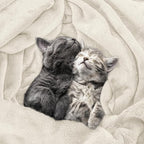 Utopia Bedding Ultra Soft Fleece Bed Blanket King Size Linen | Microfiber Plush - Image 4