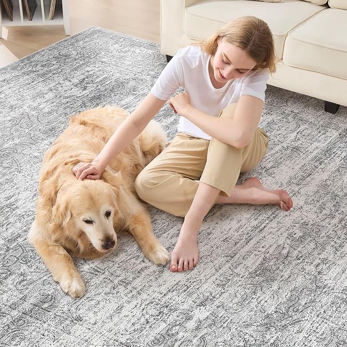 DMOYEST Area Rug Living Room Rugs - Image 6