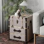 Aoikax Vintage Storage Chest - Image 7