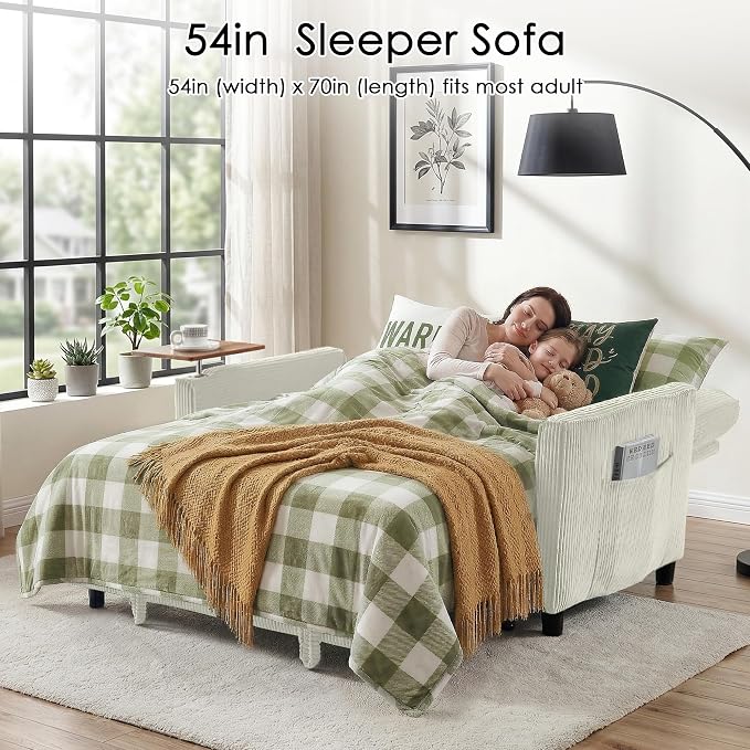 Sleeper Sofa Bed, Guest Room - Image 3
