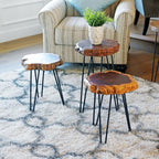 WELLAND Unique Shape Date Tree End Table Live Edge Side Table Plant Stand - Image 8