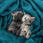 Utopia Bedding Soft Fleece Bed Blanket Queen Size Turquoise | Microfiber Plush - Image 4