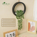 Der Rose 2 Pack Fake Plants Hanging Artificial Succulents Plants in Black Pots - Image 4