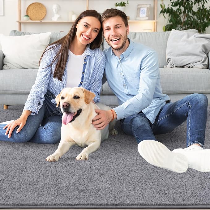6x9 Area Rugs for Living Room Non Slip Dorm Bedroom Rug, Minimalist Washable - Image 8