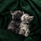 Utopia Bedding Soft Fleece Bed Blanket Twin Size Forest Green | Microfiber - Image 4
