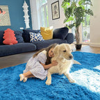 OLANLY Area Rugs for Living Room Bedroom, Machine Washable 4x5.9 ft Soft Fluffy - Image 5