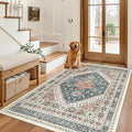 Madane Area Rug 3x5, Washable Vintage Entry Rugs by Madane