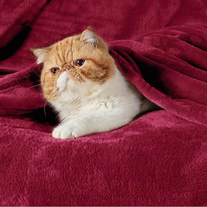 Bedsure GentleSoft Fleece Blankets King Size Burgundy - Image 2
