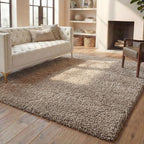 SAFAVIEH Area Rug 11x15 - Image 12