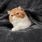 Bedsure GentleSoft Fleece Blanket Twin XL - Image 2