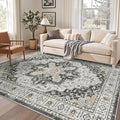 Madane 5x7 Area Rugs for Living Room, Non-Slip Washable Rug, Soft Low Pile by Madane