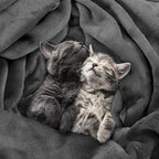 Utopia Bedding Ultra Soft Fleece Bed Blanket Queen Size Grey | Microfiber Plush - Image 4