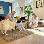 OLANLY Area Rugs for Living Room Bedroom, Machine Washable 4x5.9 ft Soft Fluffy - Image 7