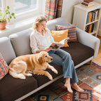 Hokway Stretch Couch Cushion Covers, 3 Piece Individual Sofa Cushion - Image 6