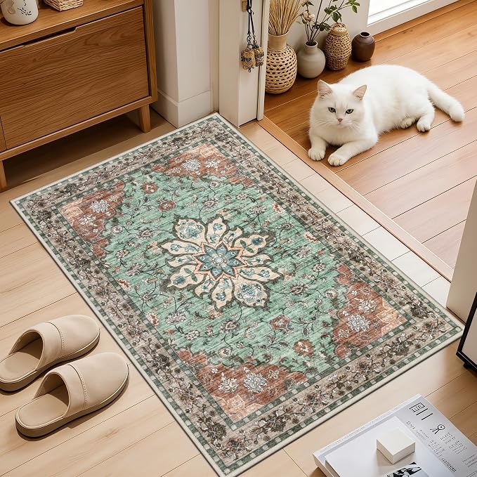 2x3 Area Rugs Living Room: Washable Rug - Image 2