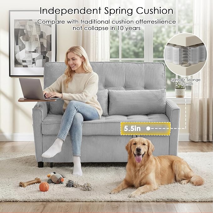 Sleeper Sofa Bed, Guest Room - Image 6