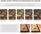 SAFAVIEH Lyndhurst Collection Area Rug - Image 5