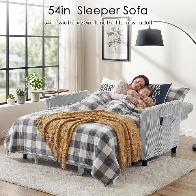 Sleeper Sofa Bed, Guest Room - Image 3