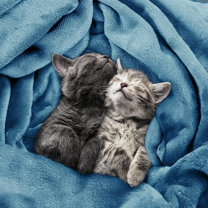 Utopia Bedding Soft Fleece Bed Blanket Twin Size Washed Blue | Microfiber Plush - Image 4