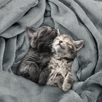 Utopia Bedding Soft Fleece Bed Blanket Queen Size Ash Grey | Microfiber Plush - Image 4